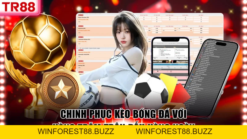 BTi Sports TR88 – Sân Cá Cược Thể Thao Đỉnh Cao Châu Á