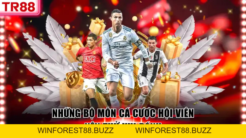 CMD368 Sports - Trải Nghiệm Cá Cược Thể Thao TR88 Đỉnh Cao