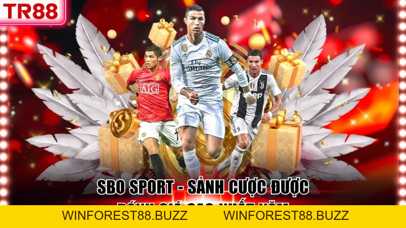SBO Sport TR88 – Sảnh Cược Được Đánh Giá Cao Nhất Năm