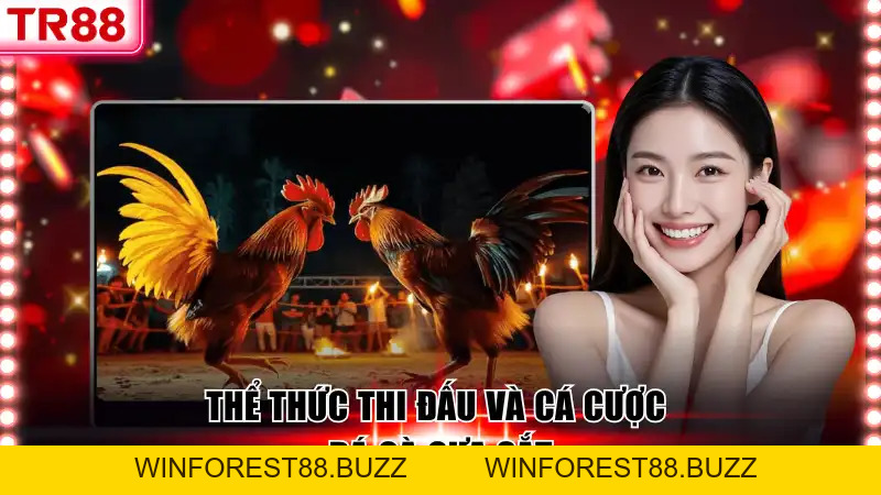 Đá Gà Cựa Sắt TR88 - Thế Giới Cá Cược Kịch Tính Cuốn Hút