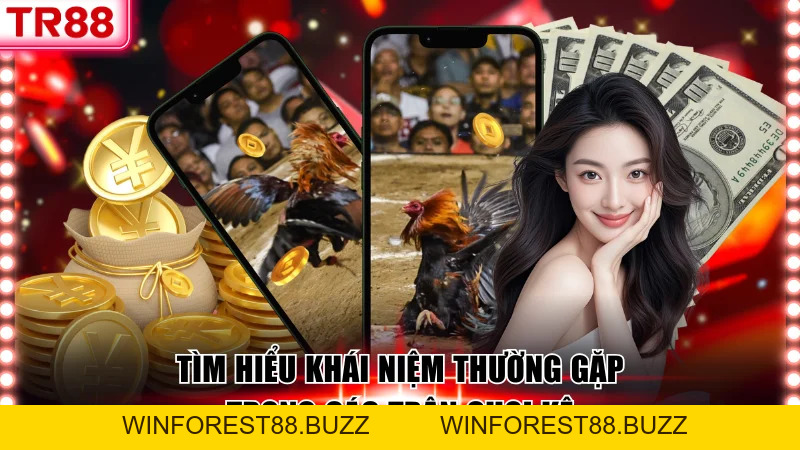 Tổng Hợp Thuật Ngữ Đá Gà Thường Gặp Trong Mọi Trận Đấu