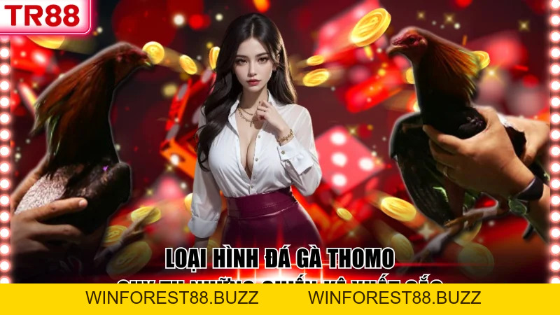 Sân Chơi Đá Gà TR88 Hàng Đầu, Đa Dạng Hình Thức Thi Đấu